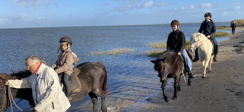  Ridning på islandske heste ved vandet 