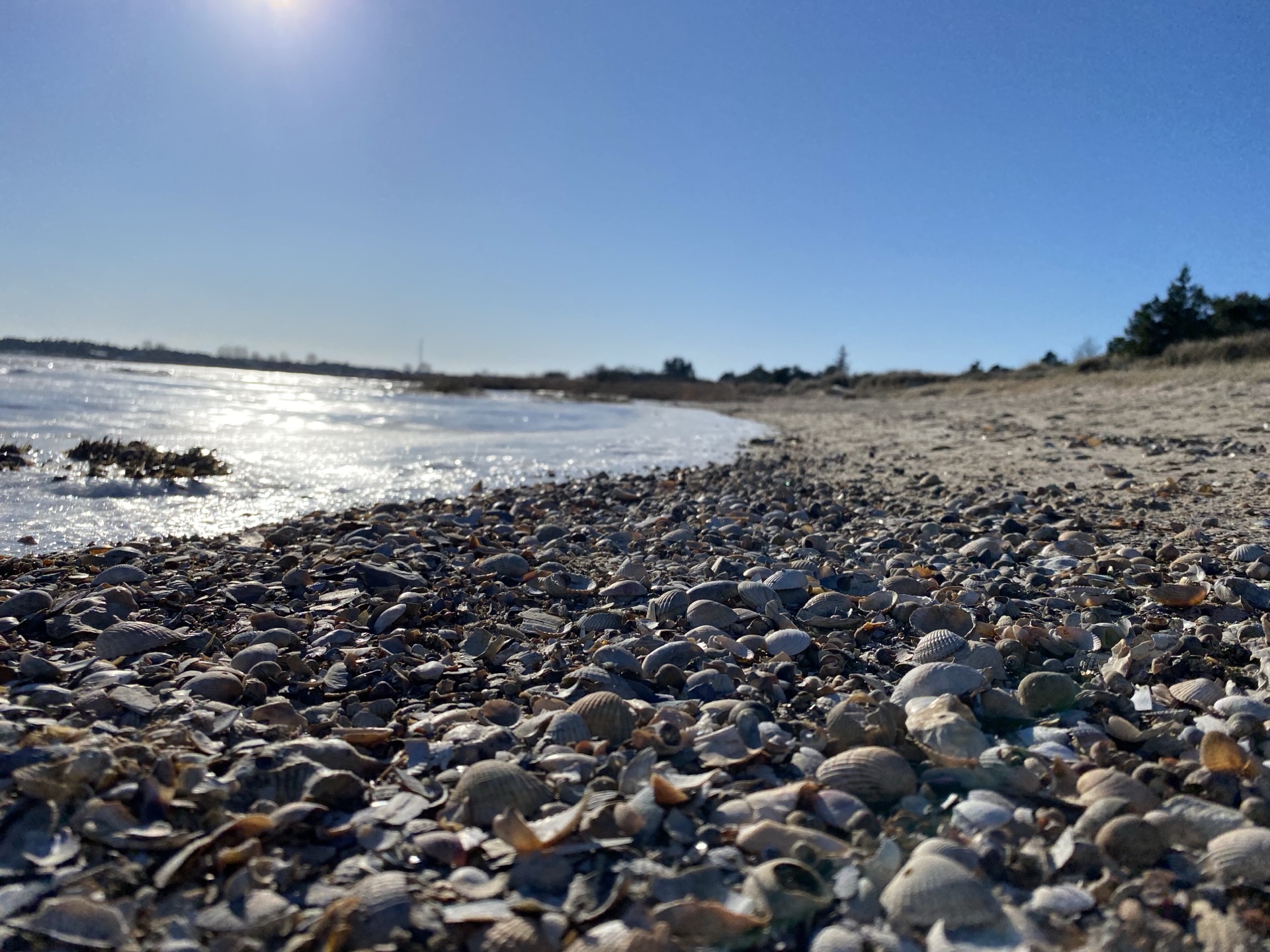Rømø – vadehavet
